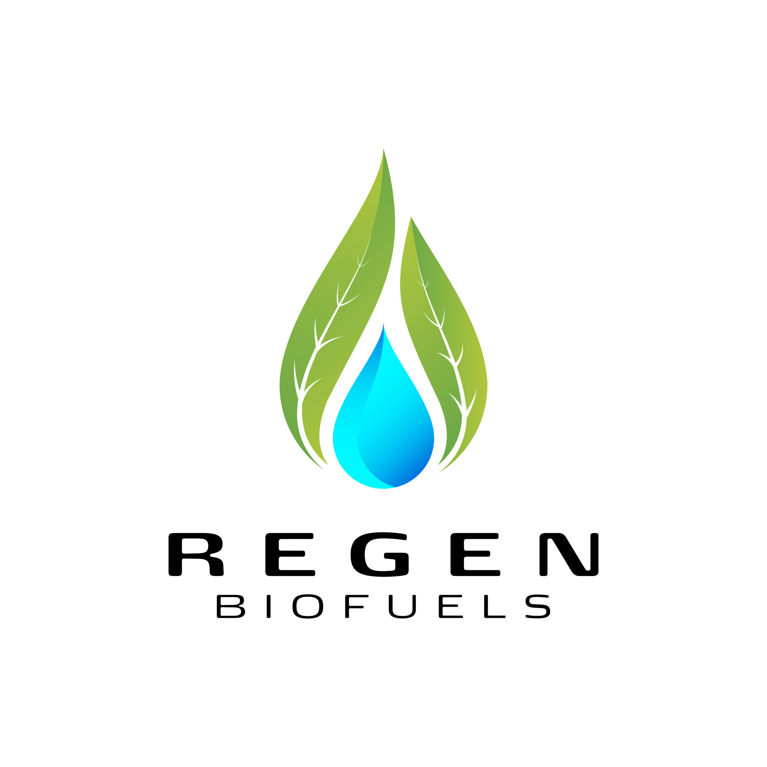 REGEN BIOFUELS