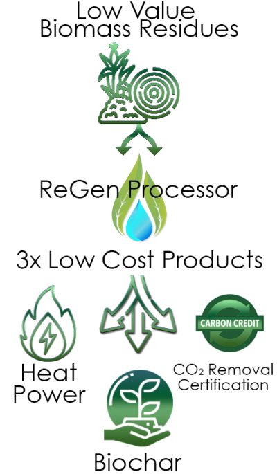 Biomass Graphic copy Biomass Graphic copy